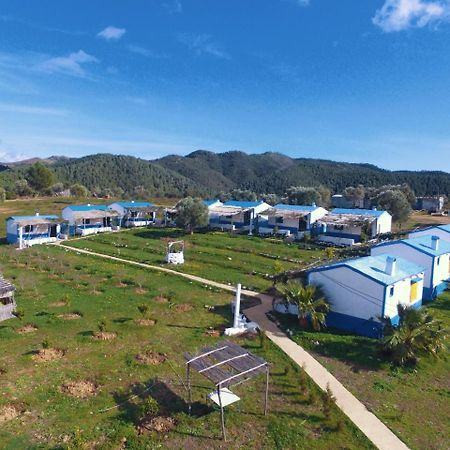 Ferma Jebala Ecolodge Kitane Dış mekan fotoğraf