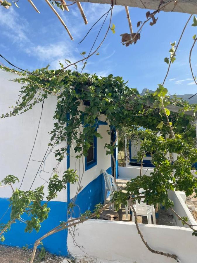 Ferma Jebala Ecolodge Kitane Dış mekan fotoğraf