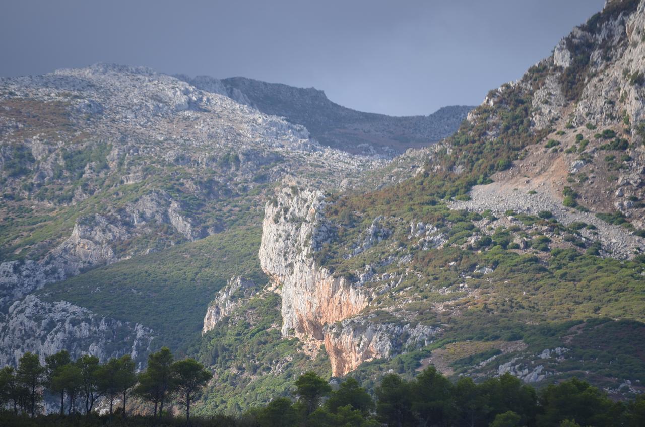 Ferma Jebala Ecolodge Kitane Dış mekan fotoğraf