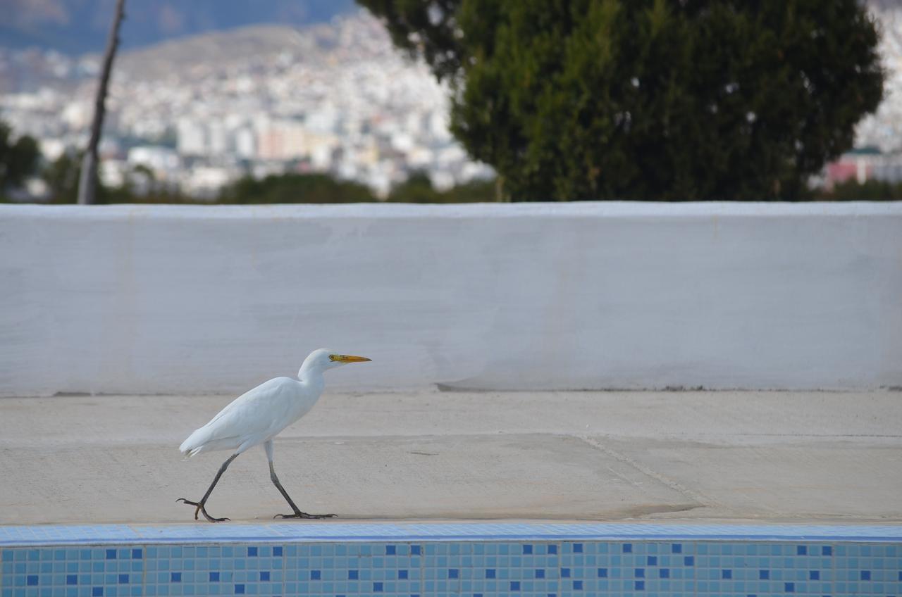 Ferma Jebala Ecolodge Kitane Dış mekan fotoğraf