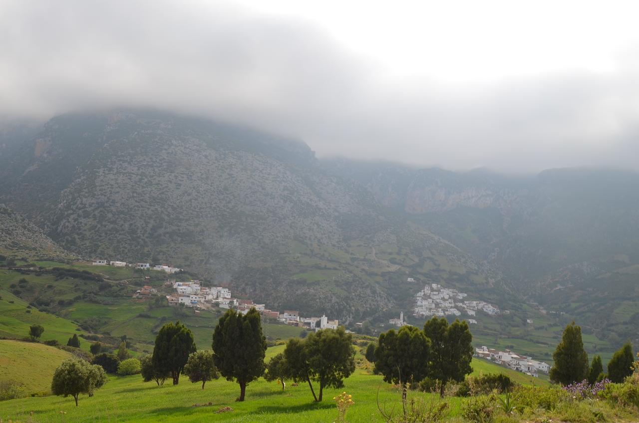 Ferma Jebala Ecolodge Kitane Dış mekan fotoğraf