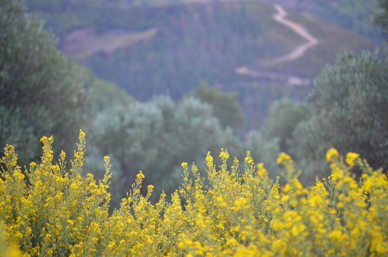Ferma Jebala Ecolodge Kitane Dış mekan fotoğraf
