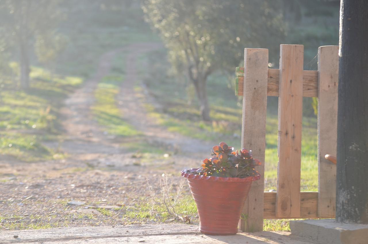 Ferma Jebala Ecolodge Kitane Dış mekan fotoğraf