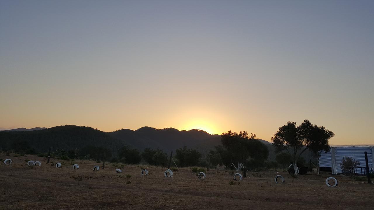 Ferma Jebala Ecolodge Kitane Dış mekan fotoğraf