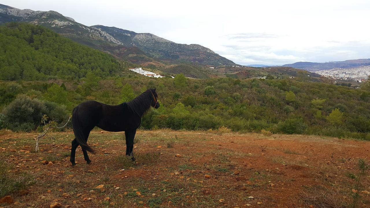 Ferma Jebala Ecolodge Kitane Dış mekan fotoğraf