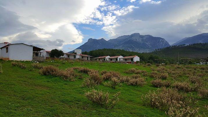 Ferma Jebala Ecolodge Kitane Dış mekan fotoğraf