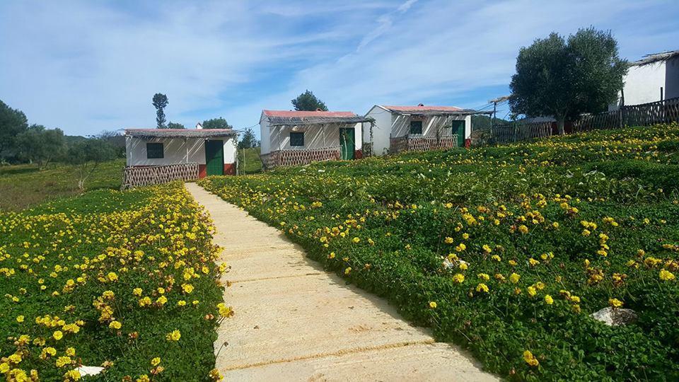 Ferma Jebala Ecolodge Kitane Dış mekan fotoğraf
