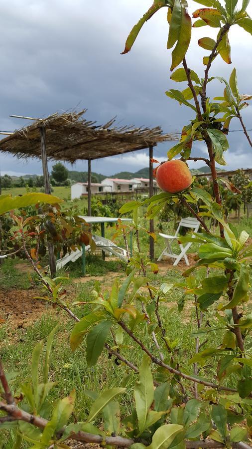 Ferma Jebala Ecolodge Kitane Dış mekan fotoğraf