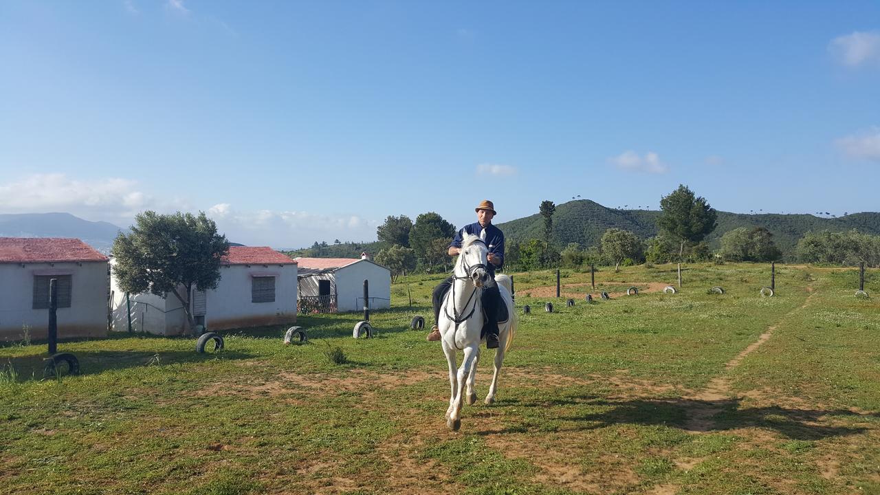 Ferma Jebala Ecolodge Kitane Dış mekan fotoğraf