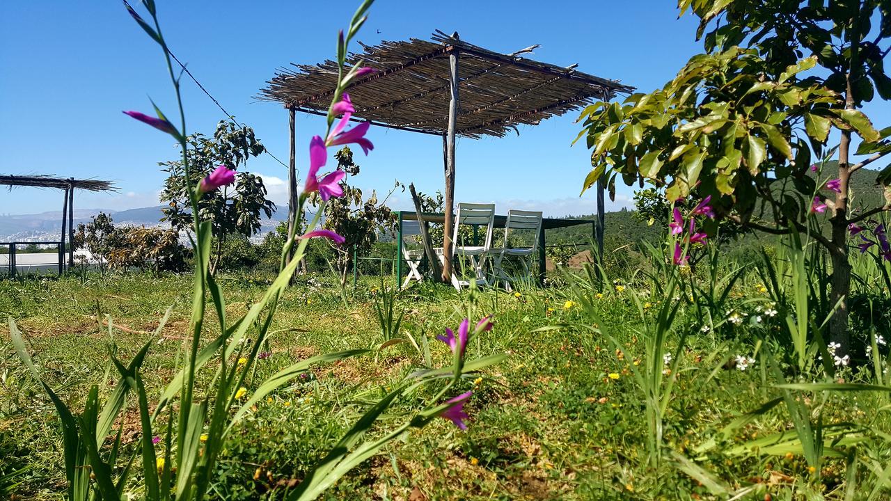 Ferma Jebala Ecolodge Kitane Dış mekan fotoğraf
