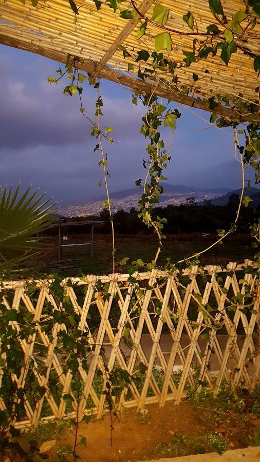 Ferma Jebala Ecolodge Kitane Dış mekan fotoğraf