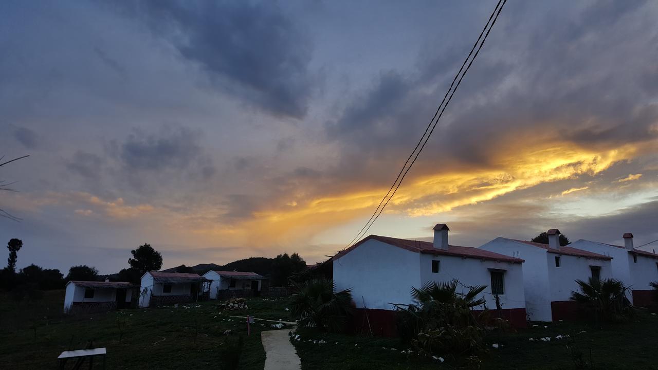 Ferma Jebala Ecolodge Kitane Oda fotoğraf