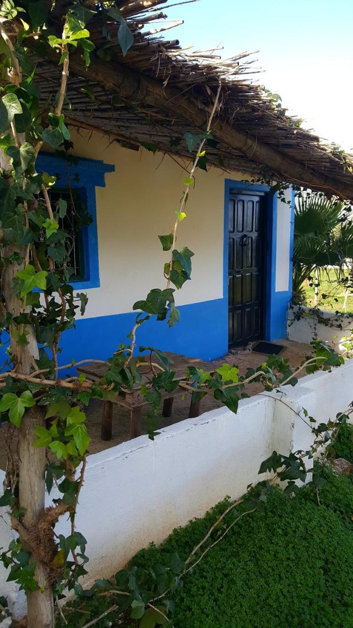 Ferma Jebala Ecolodge Kitane Dış mekan fotoğraf