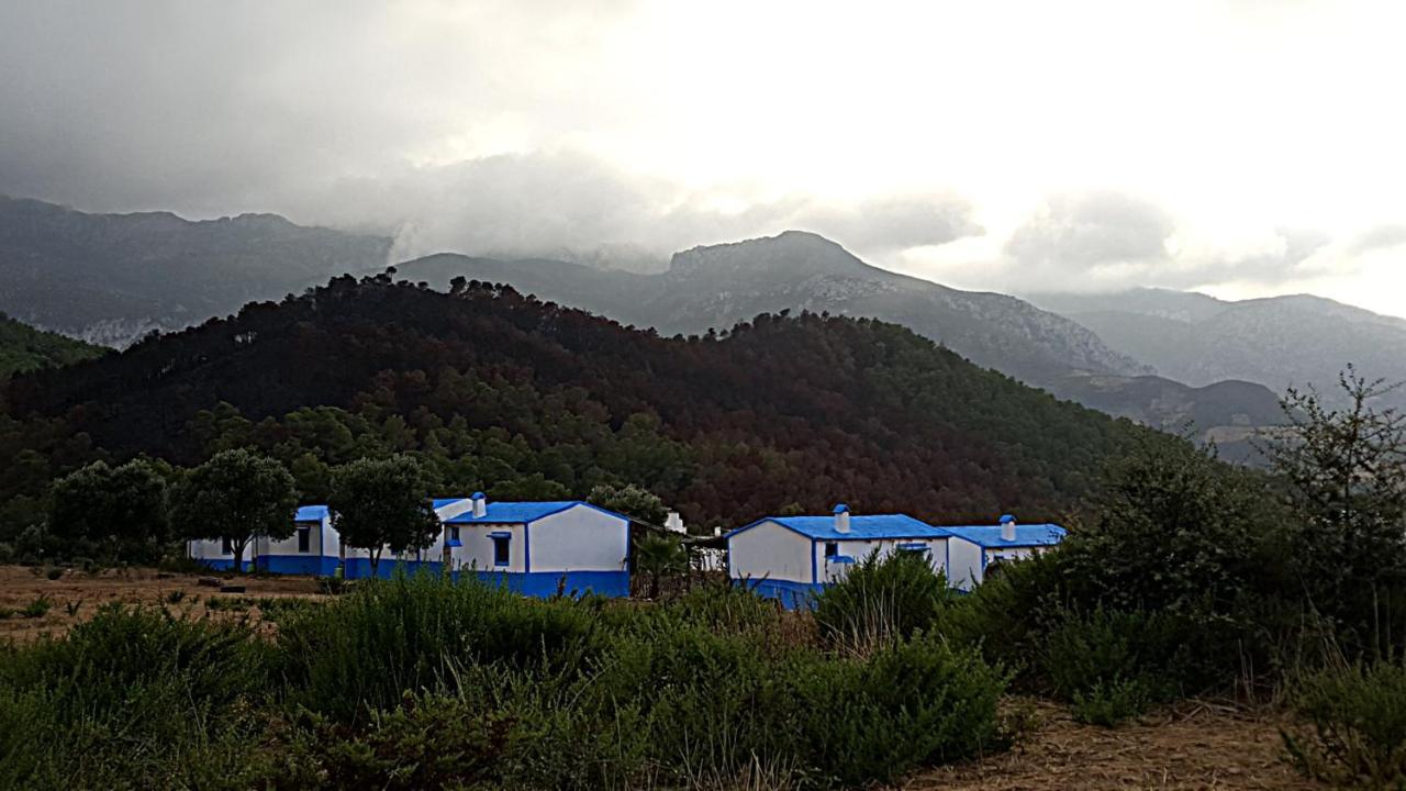 Ferma Jebala Ecolodge Kitane Dış mekan fotoğraf